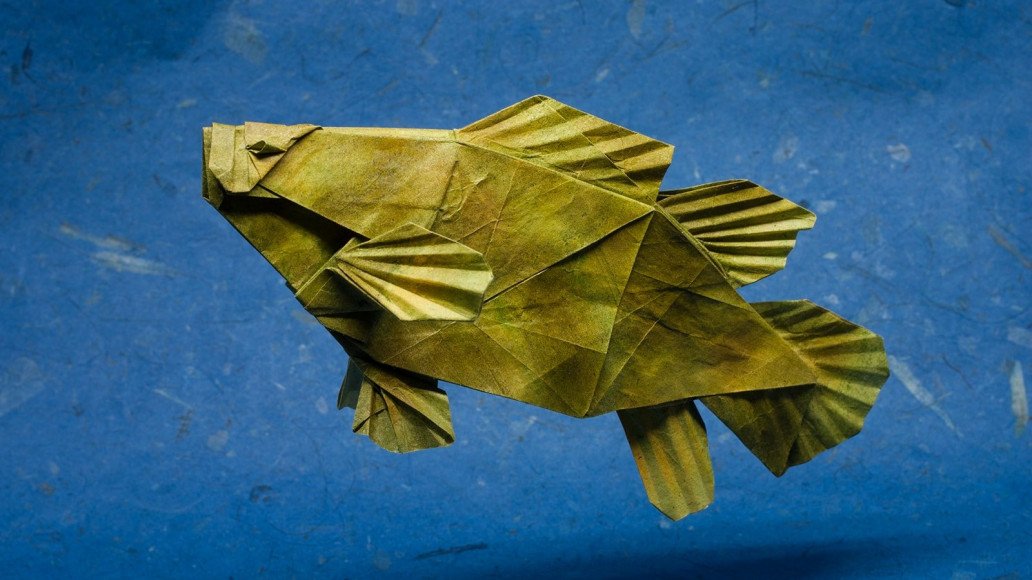  25 Excellent Origami Fish Just for the Halibut 