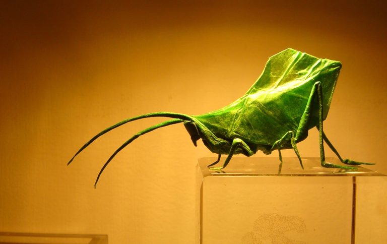 Hive Got to Show You these Origami Insects, they’re Getting a lot of Buzz