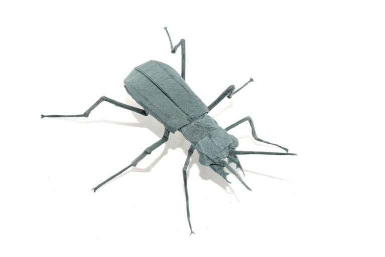 The Best Origami Insects of 2018