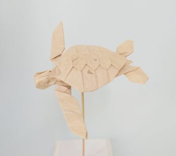 Marine Origami by Joseph Hwang Book Review