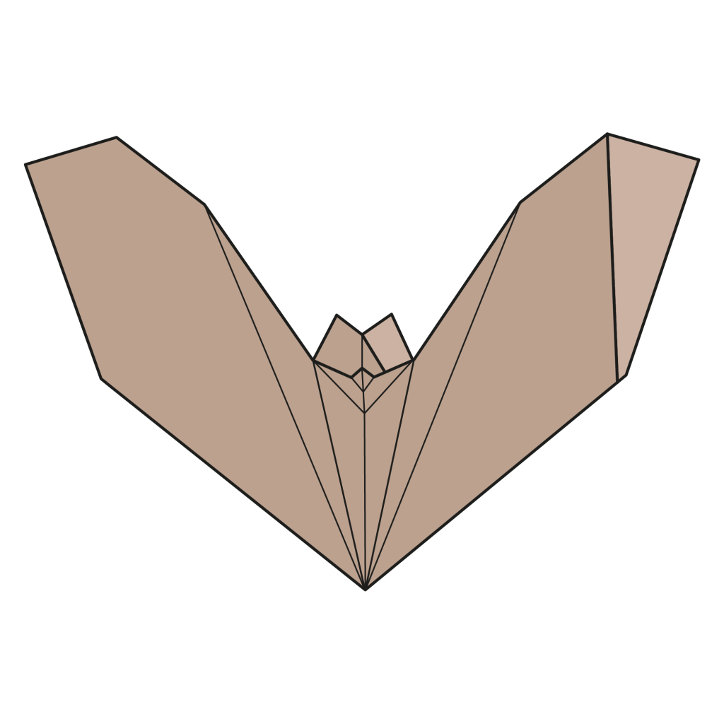 origami bat diagram completed