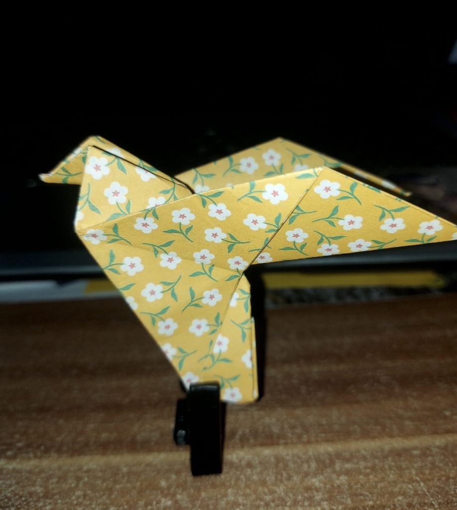 Screenshot_20250927_024845_Gallery