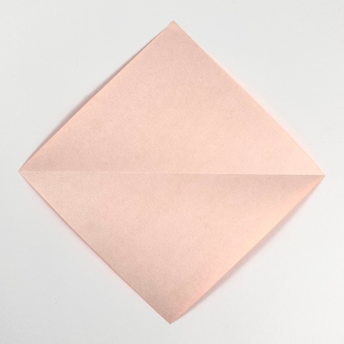 origami cicada paper fold step 1