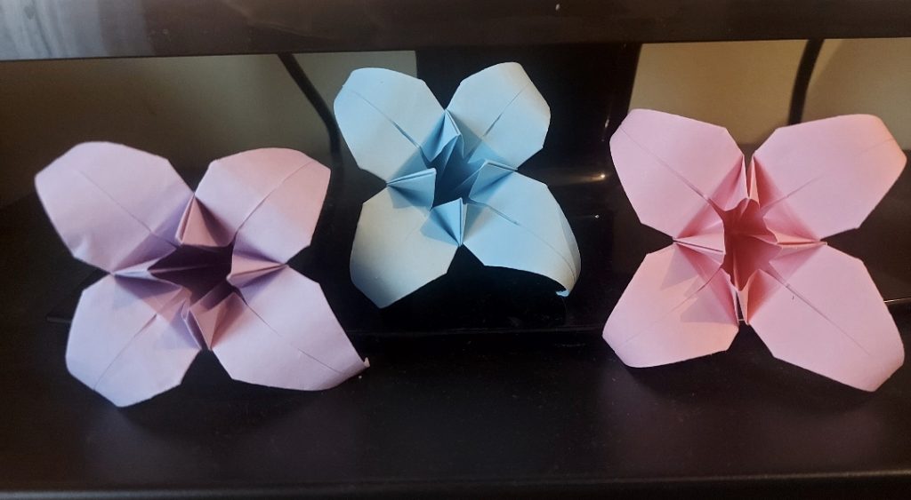 Screenshot_20251024_161218_Gallery