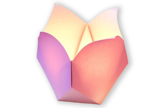 tulip rosalina light