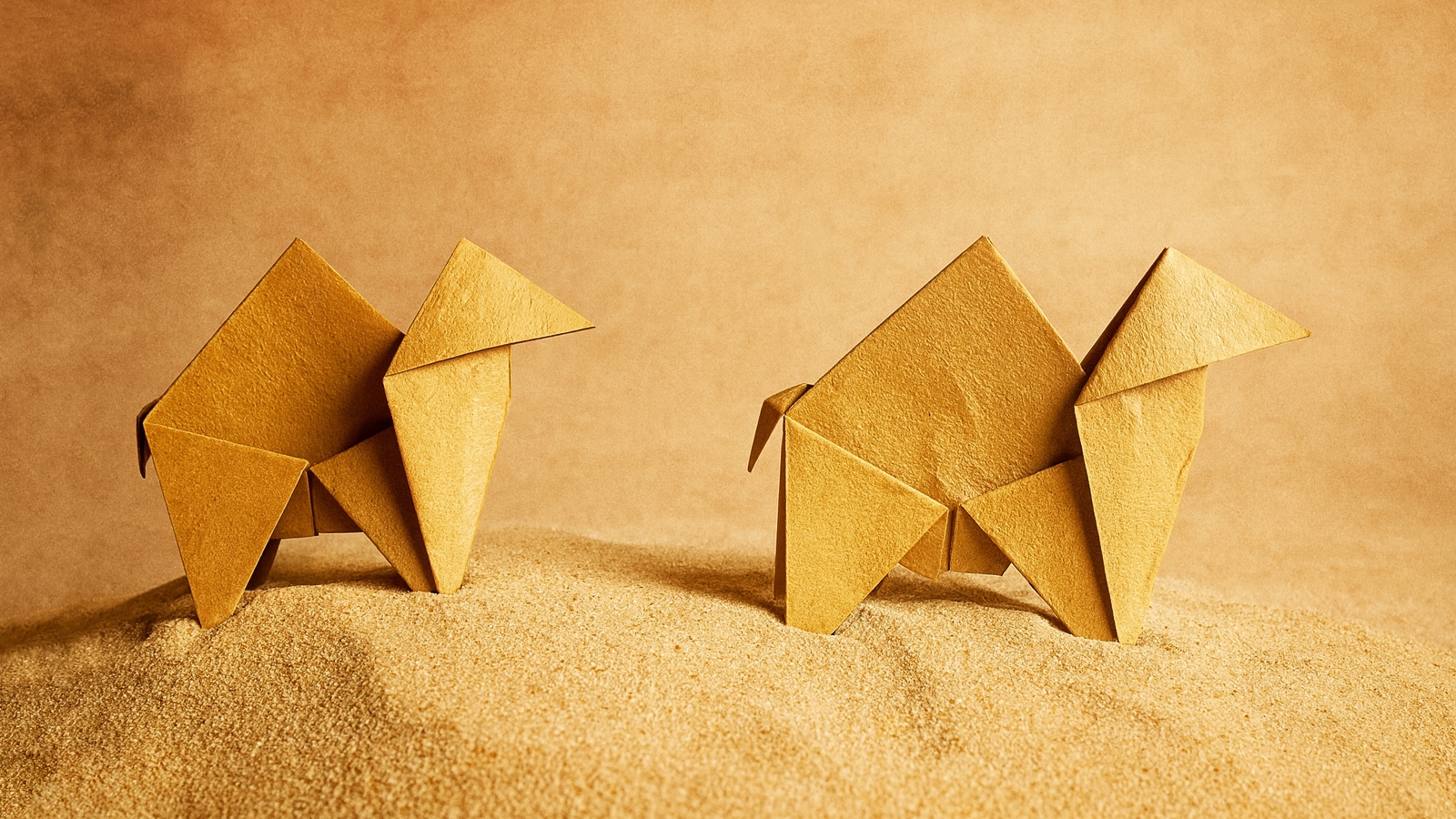 how to fold an origami camel