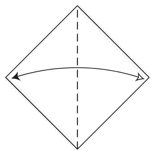 origami 5 pointed star diagram step 1