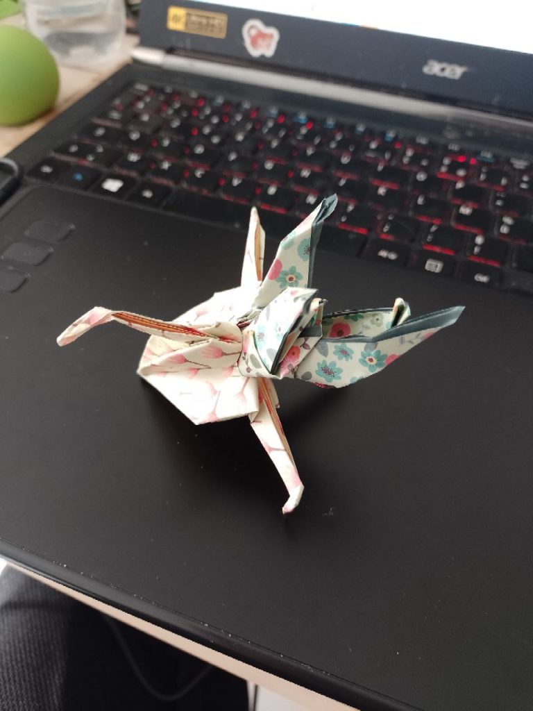 photo_5933897825584352214_y