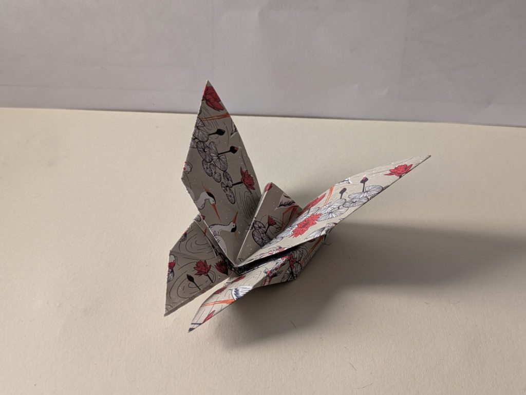 PHOTO-2026-01-11-08-52-49