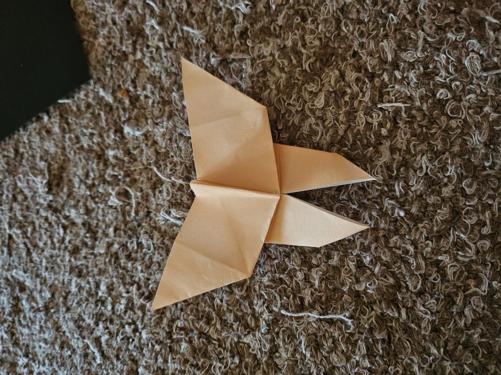traditional origami butterfly