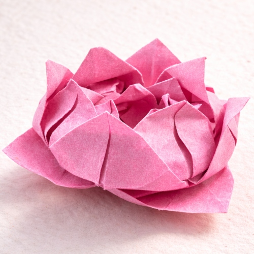 easy origami lotus