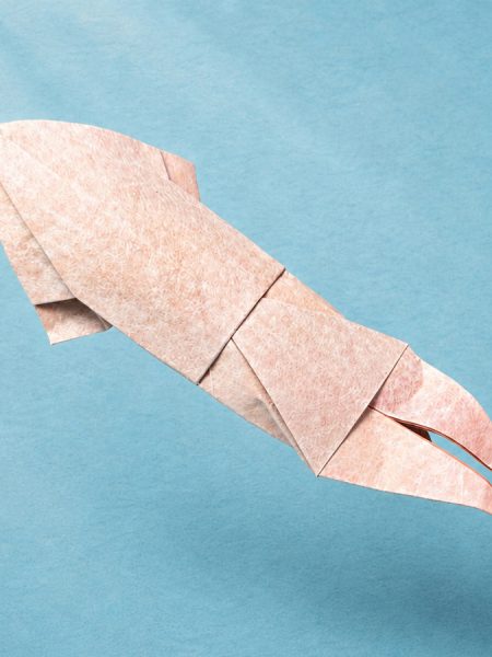 how to fold an origami squid