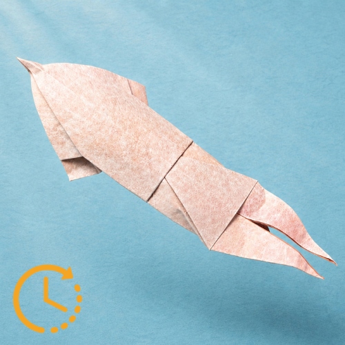origami squid