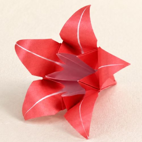 easy origami 5-petal lily